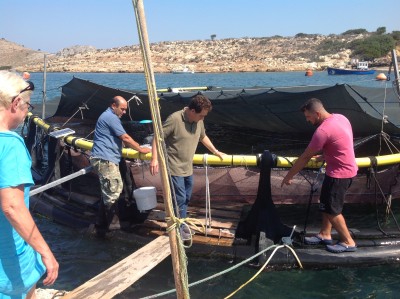 Markellos fiskodling på Leros